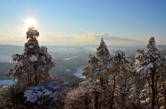 Schlitteln auf dem Uetliberg Schlitteln auf dem Uetliberg