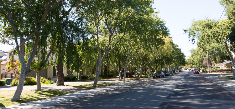 Cycling in Palo Alto