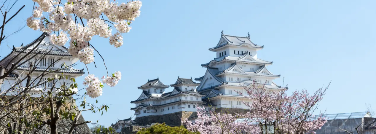 Japan Trip Spring 2016