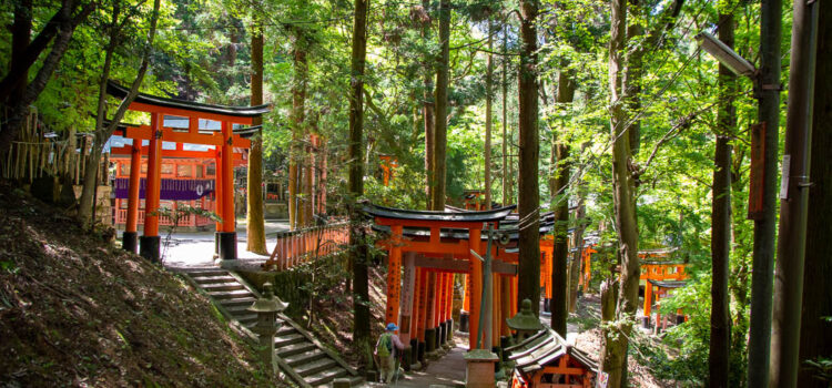 A festival, hiking and Sake in Fushimi