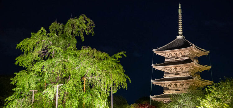 To-ji temple at night