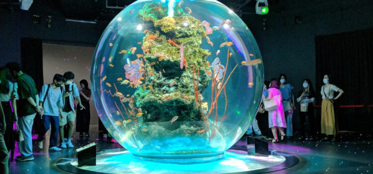 A different kind of aquarium in Kobe