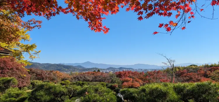 Fall Colors in Kyoto