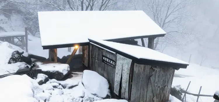 Winter vacation in Tohoku