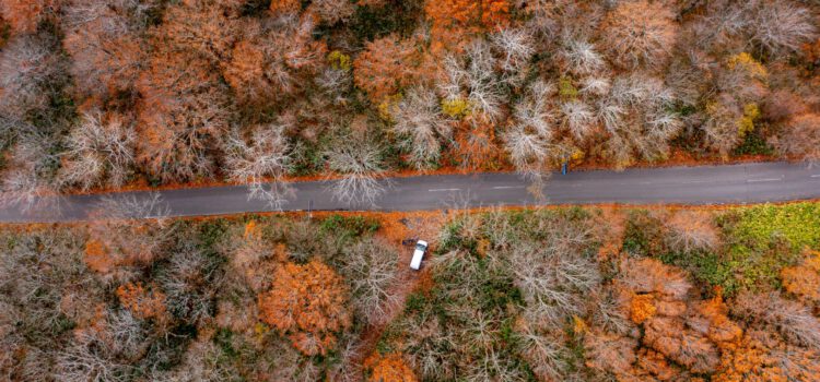 Deep in Nature: Hakkoda-san, Oirase Gorge and Lake Towada Deep in Nature: Hakkoda-san, Oirase Gorge and Lake Towada