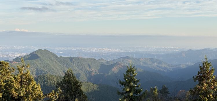 Shinjuku Backstreets, Eel in Yanaka and One Last Hike in Tokyo